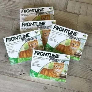 Frontline Box Frontline Plus | Cat | 5 Boxes Of 6 Monthly Doses Frontline Plus Flea ...